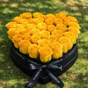 Regalo 449