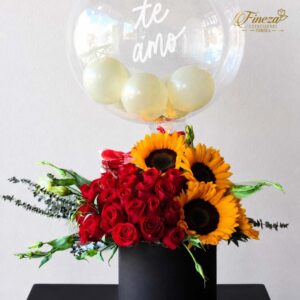 Regalo 452