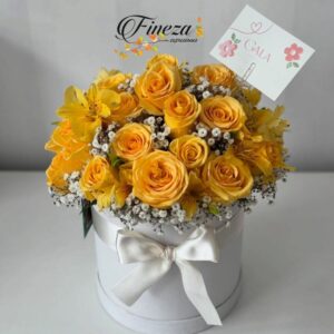 Regalo 343