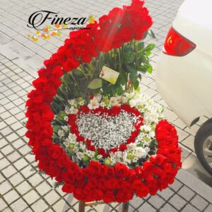 Regalo 389