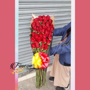 Regalo 428