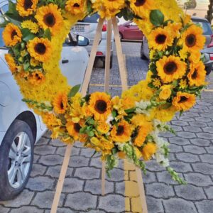 Regalo 293