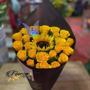Regalo 270