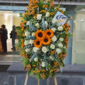 Regalo 339