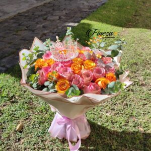 Regalo 341