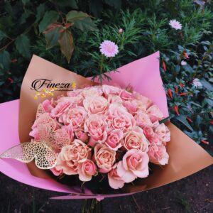Regalo 334