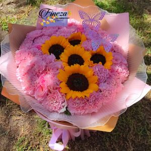 Regalo 262