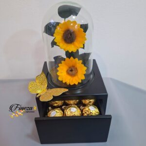 Regalo 258
