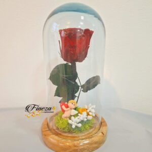 Regalo 257