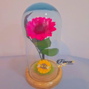 Regalo 254