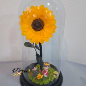Regalo 253